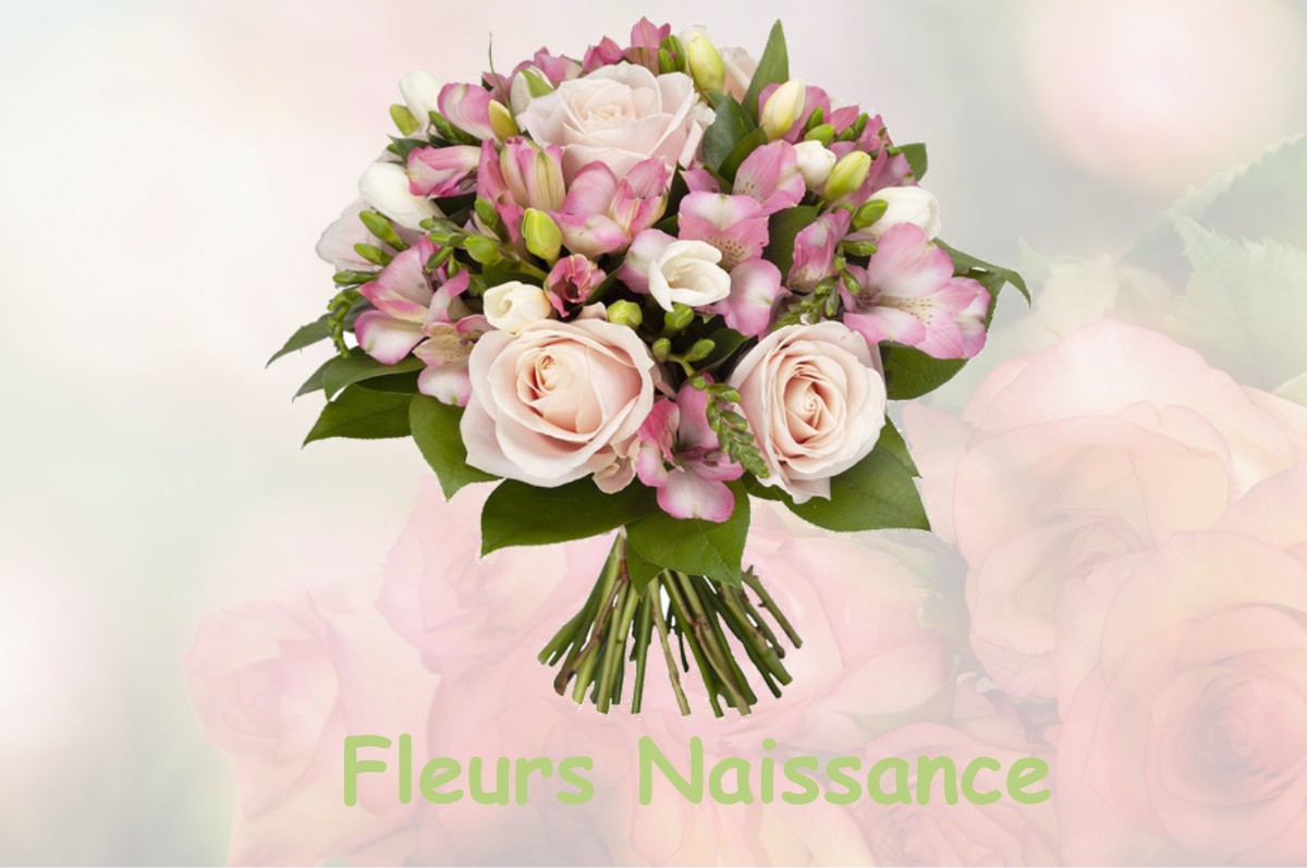 fleurs naissance OUSSON-SUR-LOIRE