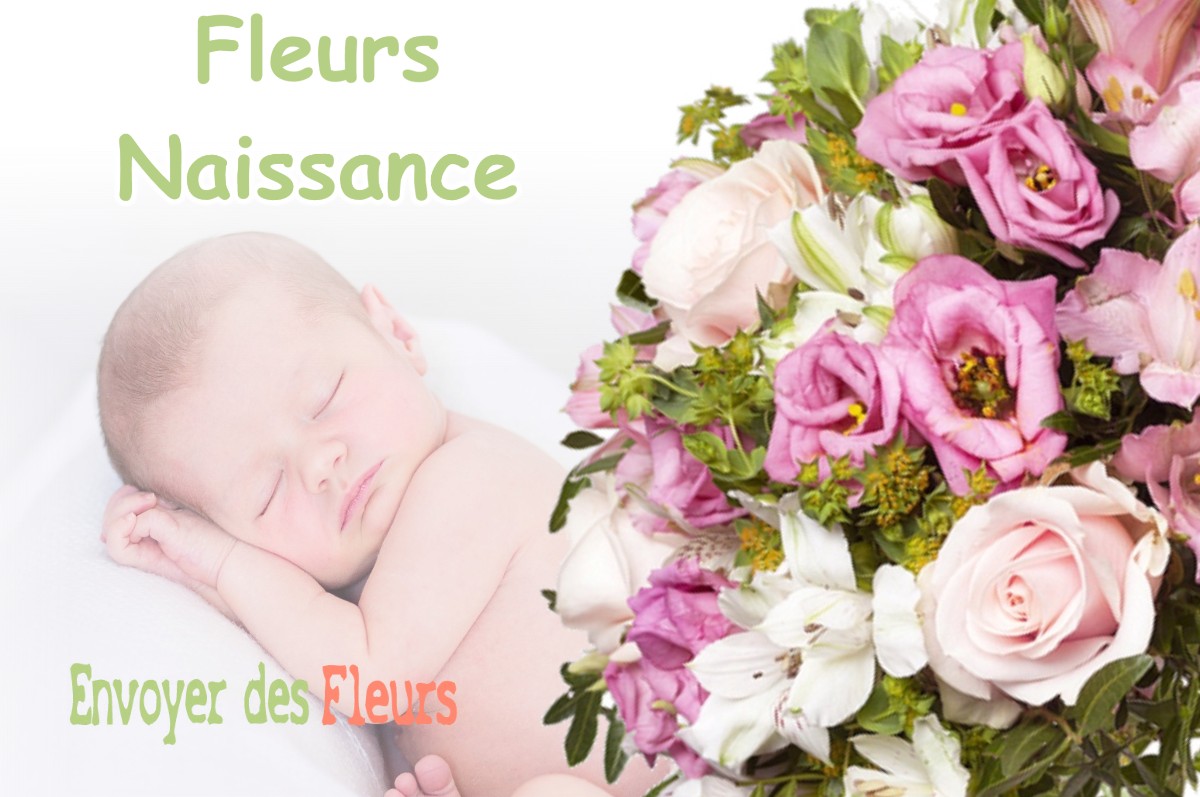 lIVRAISON FLEURS NAISSANCE à OUSSON-SUR-LOIRE